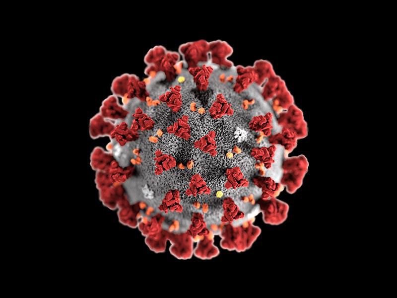 COVID-19 Coronavirus